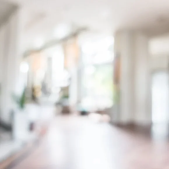 REBUNDLE - Picture 1 of 1